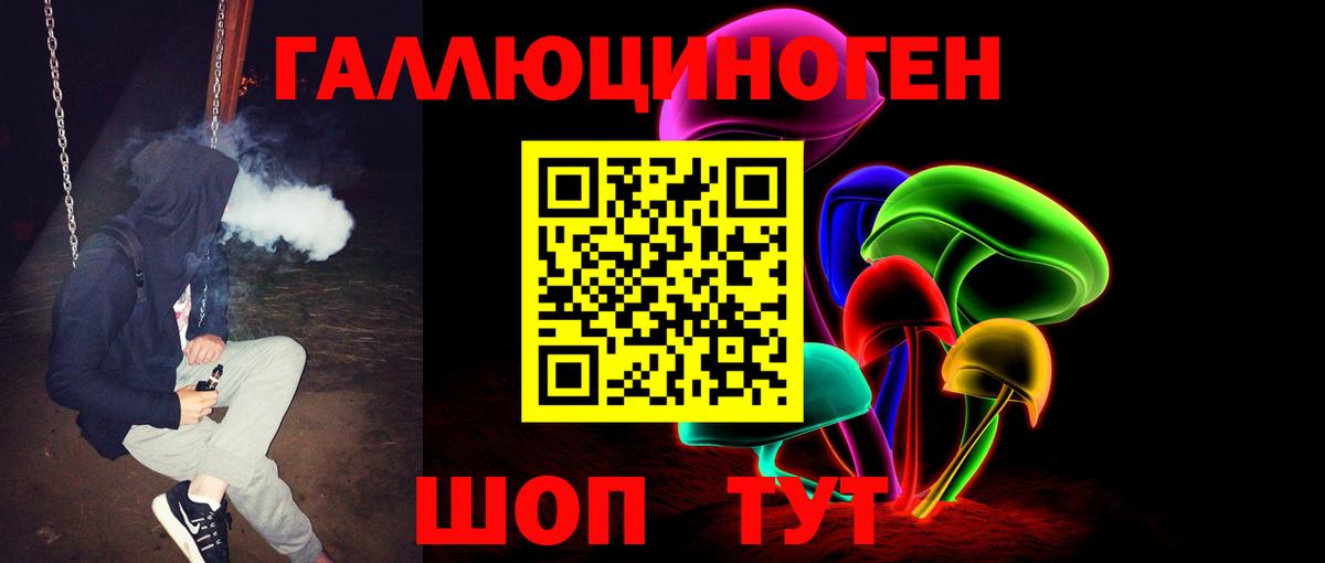 Галлюциногенные грибы мицелий  Псилоцибиновые грибы GOLDEN TEACHER  Курчалой  Вход с VPN 
